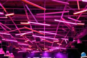 Urban Trail Lille 2021 - 67