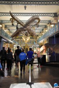 Urban Trail Lille 2021 - 75