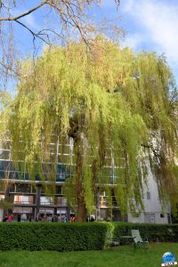 Urban Trail de Lille 2026 - 31