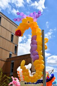 Cap Autour des Remparts #2 - lille3000 - 07