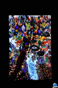 Video Mapping Festival 2023 - 210