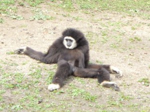  Zoo de Lille