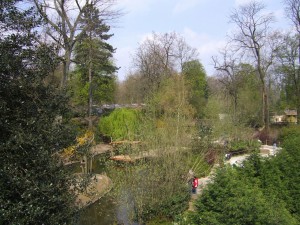 numero_88_20090221_1575239934