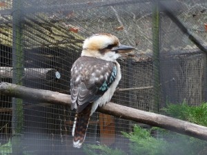 zoo01_11_20120225_1951269822