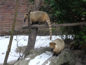 zoo01_17_20120225_1770589577