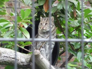 zoo02_16_20120225_1714815207
