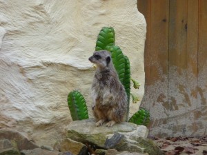 zoo02_19_20120225_1647078689