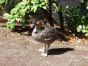 zoo02_21_20120225_1821389334