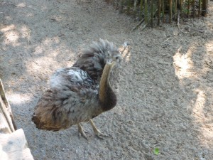 zoo02_22_20120225_1280827628
