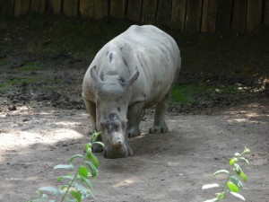 zoo02_23_20120225_1417826039
