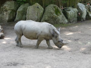 zoo02_24_20120225_2097589008