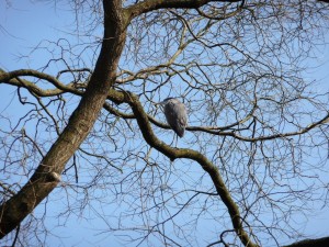 zoo_1_20101113_1568055037