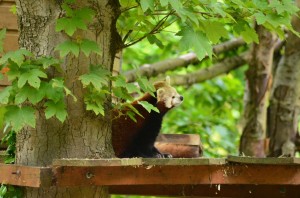 zoo_34_20140518_1798226630
