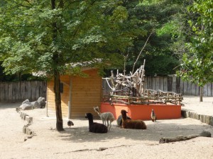 zoo_54_20100321_1266794007