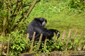 zoo_55_20140518_1866622008