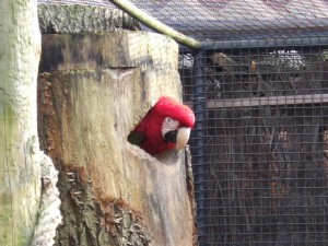 zoo_59_20100321_1012664107
