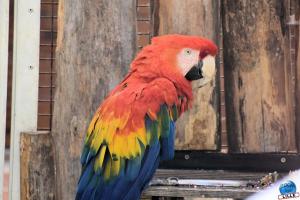 Zoo de Lille 2021 - 39