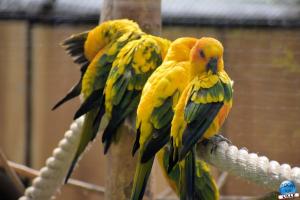Zoo de Lille 2021 - 41