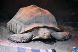Zoo de Lille 2021 - 49