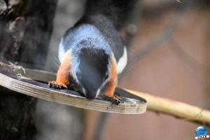 Zoo de Lille 2021 - 50