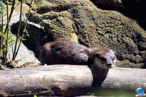 Zoo de Lille 2021 - 52