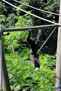 Zoo de Lille 2021 - 55