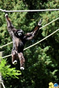 Zoo de Lille 2021 - 56