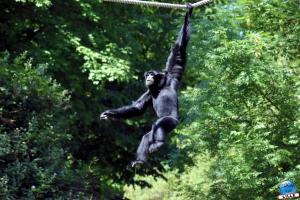 Zoo de Lille 2021 - 57