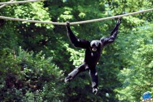 Zoo de Lille 2021 - 58