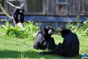 Zoo de Lille 2021 - 59