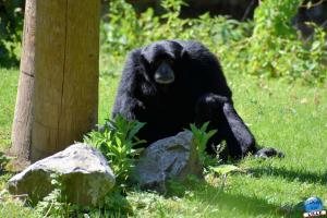 Zoo de Lille 2021 - 60