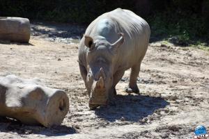Zoo de Lille 2021 - 62