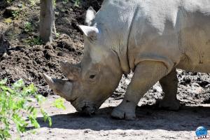 Zoo de Lille 2021 - 63