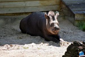 Zoo de Lille 2021 - 64