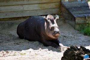 Zoo de Lille 2021 - 65