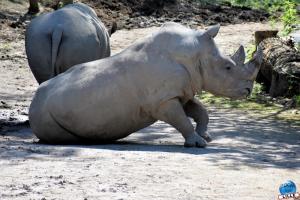 Zoo de Lille 2021 - 66