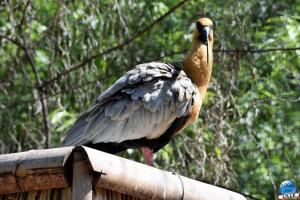 Zoo de Lille 2021 - 70