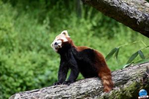 Zoo de Lille 2021 - 31