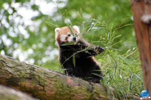 Zoo de Lille 2021 - 34