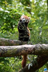 Zoo de Lille 2021 - 35