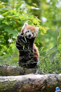 Zoo de Lille 2021 - 36
