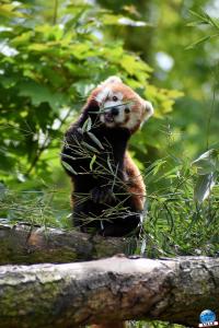 Zoo de Lille 2021 - 37
