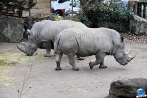 Zoo de Lille 2023 - 18