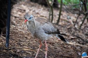 Zoo de Lille 2023 - 22