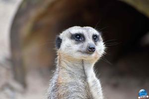 Zoo de Lille 2023 - 32