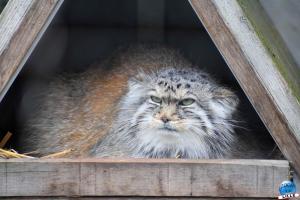 Zoo de Lille 2023 - 33
