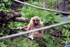 Zoo de Lille 2023 - 36
