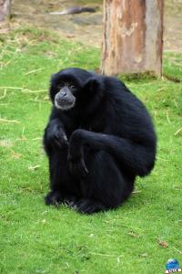Zoo de Lille 2023 - 39