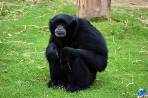Zoo de Lille 2023 - 40