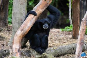 Zoo de Lille 2023 - 41